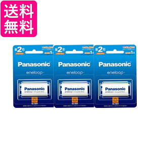 3Zbg pi\jbN BK-2MCD/1 Gl[v X^_[hf P2` [dr Panasonic (BK-2MGC/1 pi) 