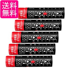 5�Z�b�g ���b�e �u���b�N�u���b�N�^�u���b�g �X�g�����O�^�C�v 32g ��������