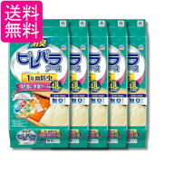 5個セット アース製薬 ピレパラアース 防虫剤 1年用 無臭タイプ 引き出し・衣装ケース用 48包入 送料無料