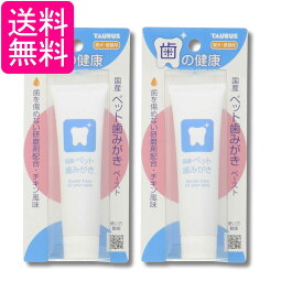 2個セット トーラス ペット歯みがきペースト チキン風味 38g 国産 犬 猫 デンタルケア 送料無料