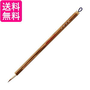 | JA320-201 ʌo ͂Ȃ   yGz