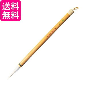 | JC120-4 M ό 4  yGz