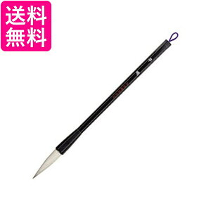 | JC339-3 M@ 3@  yGz