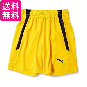 v[} TbJ[ V[gpc TEAMLIGA Q[pc JR 705145 LbY TCo[ CG[ ubN07 140  yGz