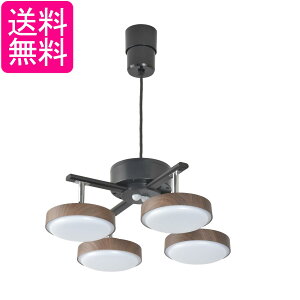 オーム ペンダントライト 4灯 木目調 スポットライト ダークブラウン LT-YLP4RC-K 06-1650 オーム電機 送料無料 【G】