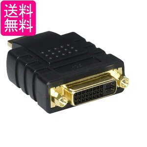 GR ϊA_v^ DVI-HDMI AD-DTH  yGz