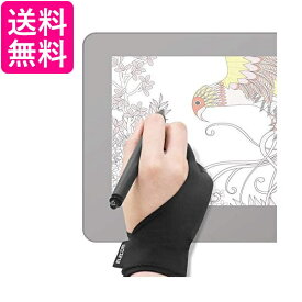 エレコム 液晶タブレット グローブ 2本指 手袋 Mサイズ 左利き右利き両用 TB-GV1M 送料無料 【G】