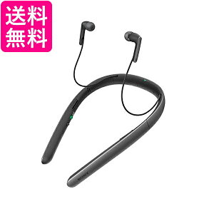 \j[ 񂩂W erpXs[J[ SMR-10 I[gV[ZNg }C{CXLZO ubN SMR-10 B  yGz