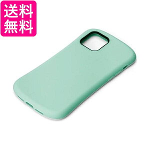 PGA Premium Style iPhone 12 minip VR^tP[X ~gO[ PG-20FSC08GR  yGz