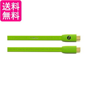 NEO by OYAIDE Elec d+ USB Type-C to C class B 1.0m USBP[u  yGz