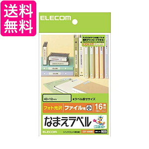 エレコム ラベルシール はがきサイズ 光沢 なまえ ファイル用 192枚 16面×12シート EDT-KNM9 送料無料 【G】