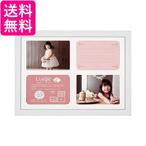 HAKUBA tHgt[ G[W Ve A4 ʃ^Cv ؐ zCg FWLGC-WTA4T  yGz