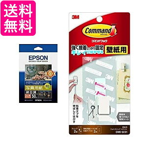 EPSON ʐ^pڒ 2L 50 K2L50MSHR  yGz