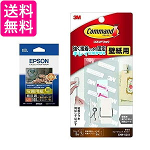 EPSON ʐ^pڒ L 100 KL100MSHR  yGz
