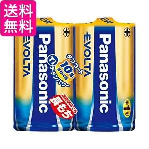パナソニック エボルタ 単1形アルカリ乾電池 2本パック LR20EJ 2SE 送料無料 【G】