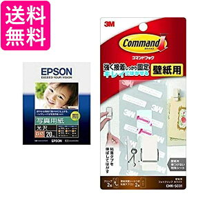 EPSON ʐ^p l 20 K4G20PSKR  yGz