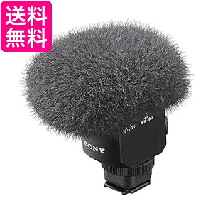 \j[ Jp EChXN[t ECM-M1  yGz