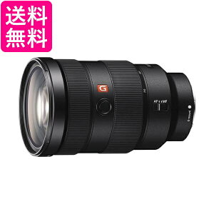 \j[ WY[Y tTCY FE 24-70mm F2.8 GM G Master fW^JE}Egp Y SEL2470GM  yGz