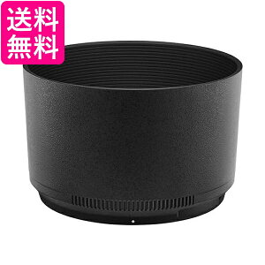 jR HB-91 CgJo[ Nikkor Z 851.8 Sp (p)  yGz