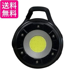 TV RITEX [d}`LEDCg 5Wی^ COB-WL002  yGz