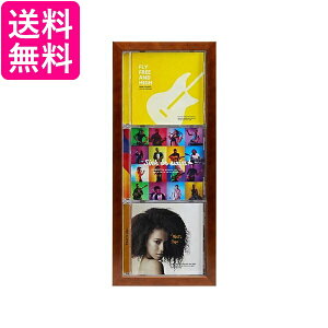 PR[ z CDfBXvCt[ CDWPbg3[\ ^eu^Cv uE O175×409mm PS-CD3T-BR  yGz