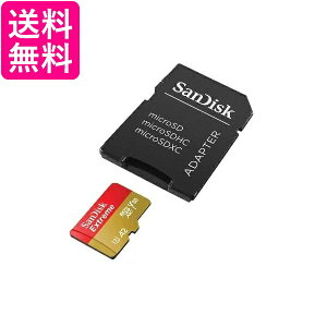 サンディスク エクストリーム microSDXC UHS-Iカード 256GB 送料無料 【G】