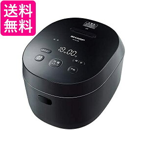 V[v ъ 5.5 IH PLAINLY ̉Ή ubN KS-HF10B-B  yGz