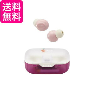 GR LBT-TWS16CSPN C`SF CXCz bluetooth  yGz