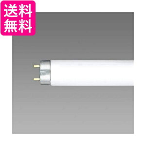 z^NX NECCeBO NEC FL6W  yGz