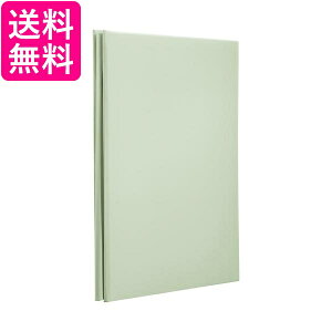 iJoV t[Ao XEB[gJ[Y 100N䎆A4 O[ AH-A4F-142-G  yGz