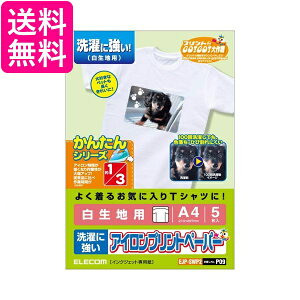 GR ACvgy[p[ A4TCY 5 np ɋ TNO P09 EJP-SWP2  yGz