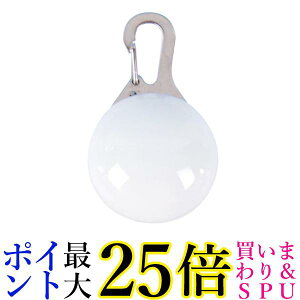    [d   y_g փANZT[ ֗p`[ U LED USB zCg (ǗS) 