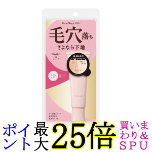  |Cg}WbN PRO |AJo[ C ωn 15g (x 1) 