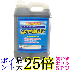 VZC ͂ 5L _knp  OzT[gC\vsA~34% MCP SHINSEI 