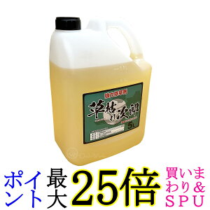 VZC ͂ꎟY 5L _knp   ߃^Cv SHINSEI 