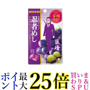 UHAo e|ma E҂߂  20g 