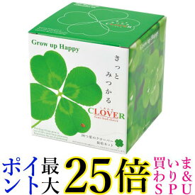 聖新陶芸 きっとみつかる四つ葉のクローバー栽培セット 12.3cm 送料無料