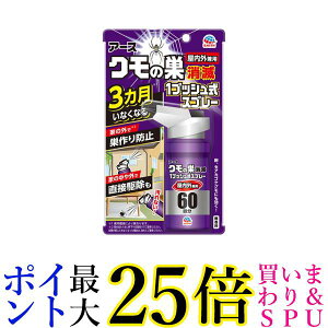 アース製薬 クモの巣消滅 1プッシュ式スプレー 屋内用 60回分 クモ 殺虫剤 送料無料