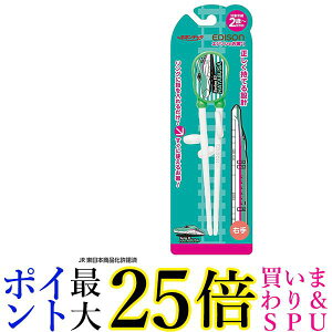 GW\ KJ1033243 O[ GW\̂1͂Ԃ (Ep) EDISON 