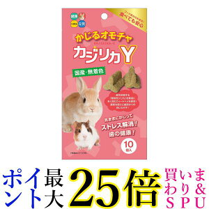 nCybg JWJY 邨 10 nX^[ ETM t[h 