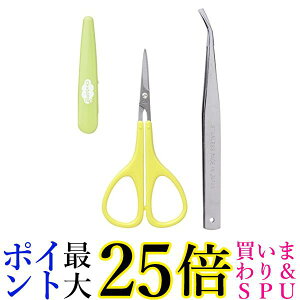 L FG5188 nT~&sZbg [ځ[ ٓ KAI 