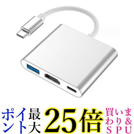 変換ケーブル HDMI Type-C タイプC 変換アダプター シルバー 3in1 4K 耐久 (管理S) 送料無料