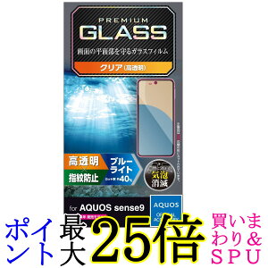 GR PM-S244FLGGBL AQUOS sense9 KXtB u[CgJbg 10H tی wh~ Uh~݌v 