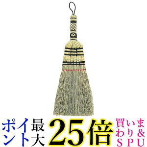 AY}H EC127 pS҂݃nhuV azuma 