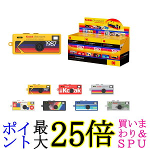 KODAK CHARMERA �L�[�`�F�[�� �f�W�^���J�����u���C���h�{�b�N�X ��������