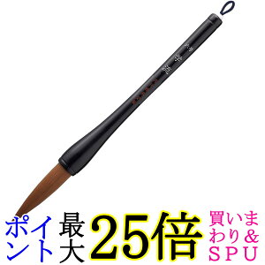 | JD10-6 |DM ߕM w 6  