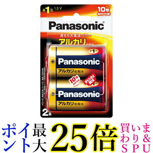 �p�i�\�j�b�N LR20XJ2B �P1�`�A���J�����d�r 2�{�p�b�N Panasonic ��������