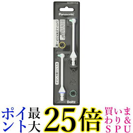 パナソニック EW0984-Wノズル 2本入 ジェットウォッシャー ドルツ用 ポイント磨き Panasonic 送料無料