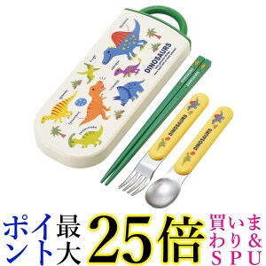 XP[^[ TACC2AG-A CIR qp gIZbg  Xv[ tH[N fBmTEX sN`[ubN Skater 