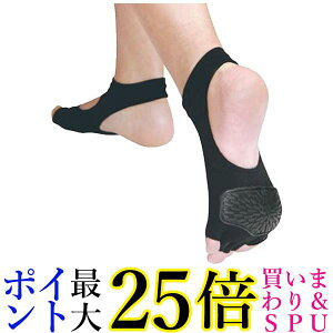 IJ AQA-1L AQA1L ANA v[GNTTCYpT|[^[ LTCY ubN ANAV[Y v[ ^ AQUARUN 